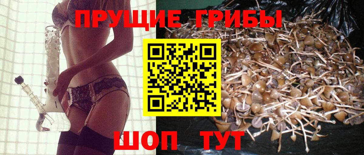 Галлюциногенные грибы Psilocybine cubensis  Галлюциногенные грибы прущие грибы  Вход с VPN  Великий Устюг 